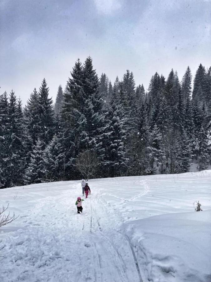 Apartmán Chalupa U Babky Oravská Lesná Exteriér fotografie