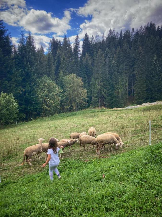 Apartmán Chalupa U Babky Oravská Lesná Exteriér fotografie